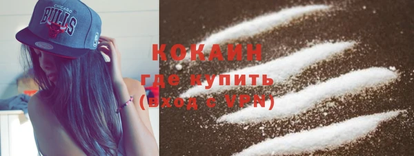 Альфа ПВП Лагань