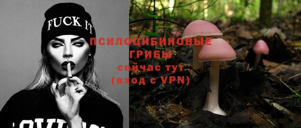 Альфа ПВП Лагань