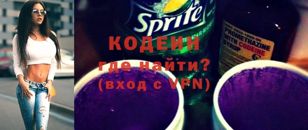 индика Лабытнанги