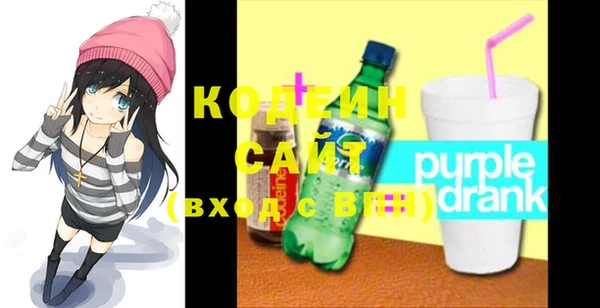 индика Лабытнанги
