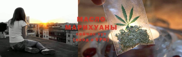 индика Лабытнанги