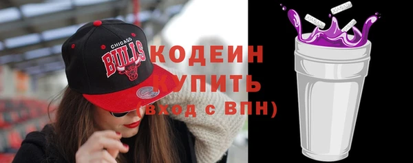 индика Лабытнанги