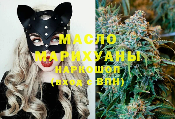 индика Лабытнанги