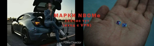 индика Лабытнанги
