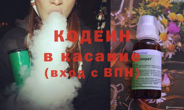 индика Лабытнанги