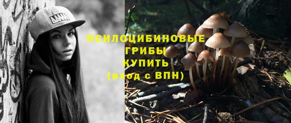 Альфа ПВП Лагань