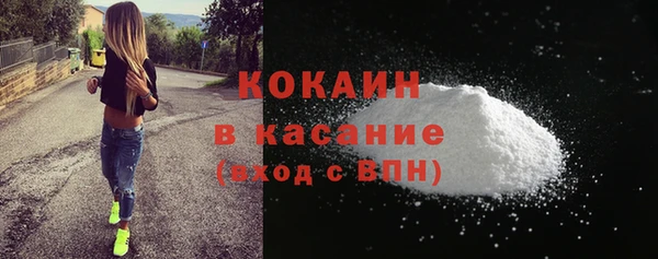 индика Лабытнанги