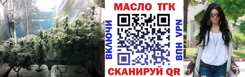 Купить где  Трёхгорный  ТГК концентрат 