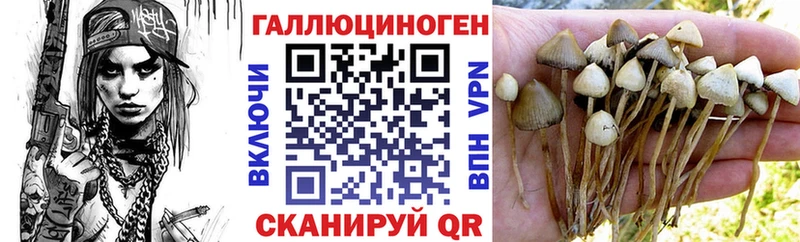 Купить закладки  Трёхгорный  Псилоцибиновые грибы ЛСД 