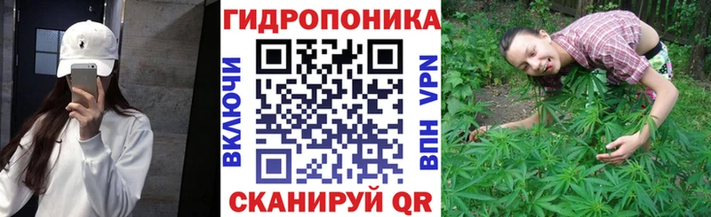 Купить Трёхгорный МАРИХУАНА MAZAR